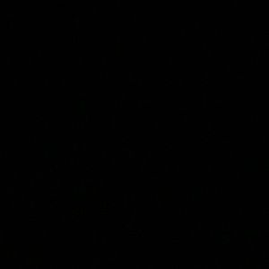 Meet your Posher, Itzel